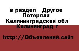  в раздел : Другое » Потеряли . Калининградская обл.,Калининград г.